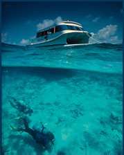 Dive BVI power catamaran Sea Lion