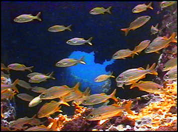 tunnel in BVI