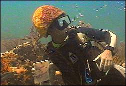 Randy Keil wearing a fashional underwater sponge hat.