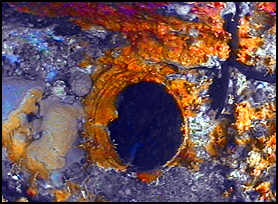 Wreck of the Rhone porthole