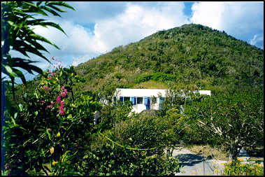 one of Guana Island's cottages