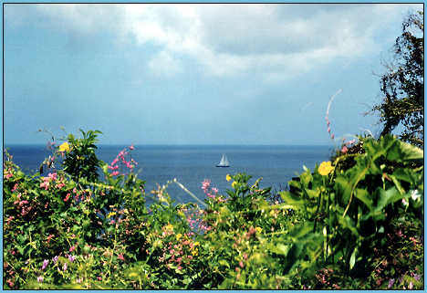 View from Guana Island