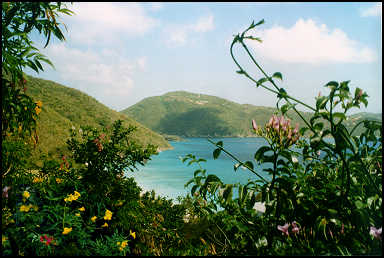 view from Guana Island cottages high on a ridge