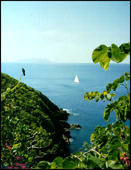 view of Muskmelon Bay and Jost Van Dyke in the distance