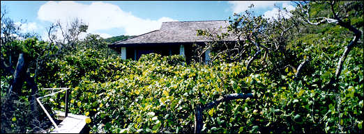 View of Cottage from oceanside deck