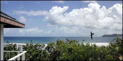 View from Cottage sun deck