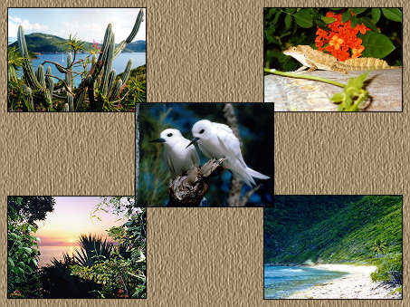 screensaver examples
