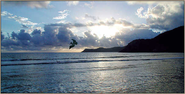 Sunrise over North Beach at Guana Island