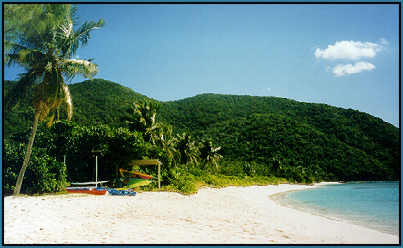 White Bay Beach