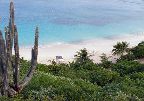 Little Deadman's Bay from the heli-pad hill