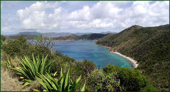 White Bay Beach as seen from the road leading down to it.