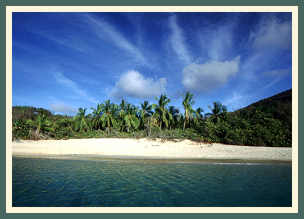 One of BVI's many secluded beaches