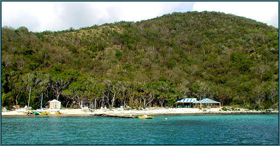 Callaloo on the beach