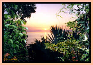 Sunset from Guana Island's terrace by ScubaMom