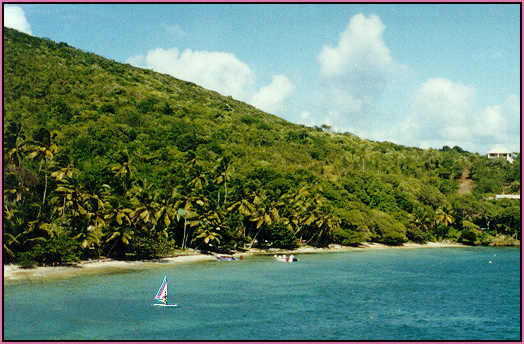 a Bequia beach