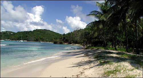 One of the gorgeous Mustique beaches