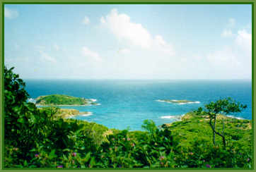 Mustique shoreline viewed from a hill