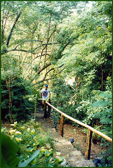steep walkway  from town to the Fire Fly Guest House