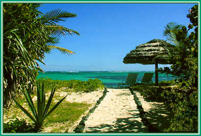 view from Beach side cottage