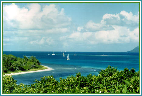 View from Cottage 2 over PSV's Conch Bay