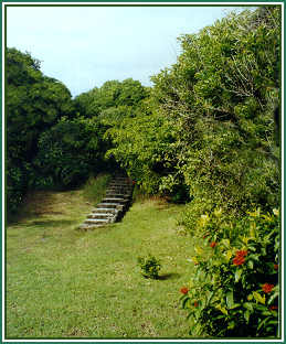 stairs to Telegraph Hill