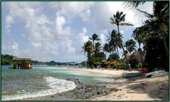 Young Island's beach and famous Coconut Bar