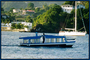 cute Young Island ferry boat