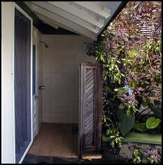 garden shower with privacy door open.