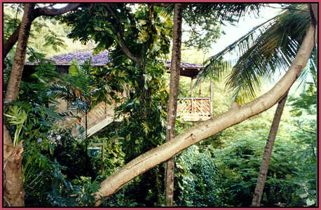 one of the tree houses