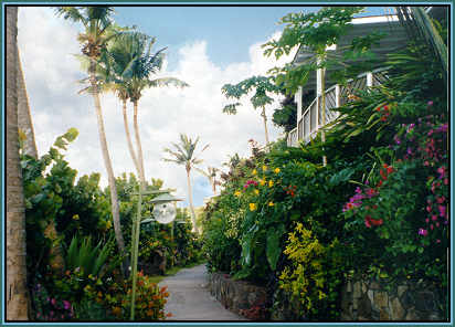 Shoreside cottages at Young Island