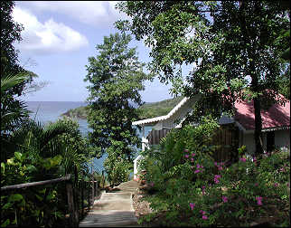 Ocean front cottage