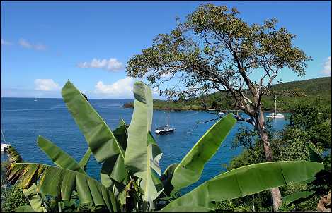 View from our cottage