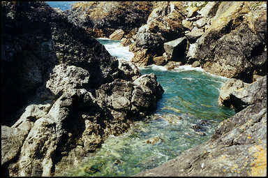 rocky sea coast