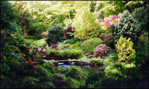 forest garden at Gidleigh park