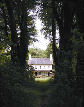 View of Plas Bodegroes from the forest