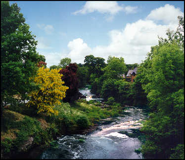 Woodland walk near Lion Inn and Berriew - note the cottage peaking from the foliage