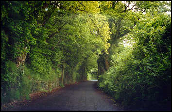 Beautiful road to Lamora Cove