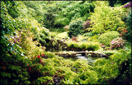 forest garden at Gidleigh Park in Chagford