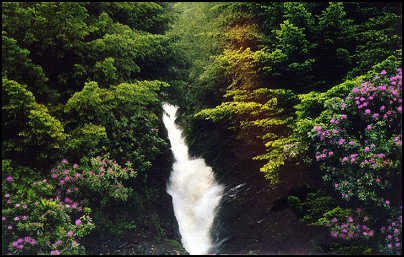 Water fall near the woolen mill - lots of pretty walks in this area