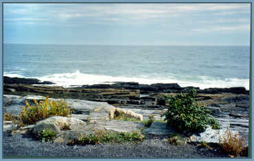 Lobster Shack view of ocean