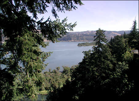 View of the Columbia River Gorge