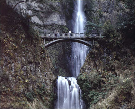 Multnomah Falls near the Gorge