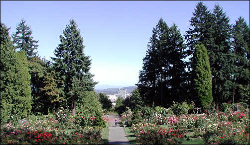 Rose Gardens with view to Portland's city center