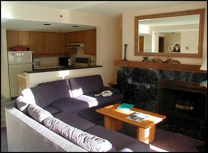 394 living room and kitchen