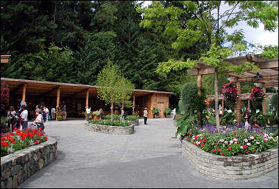 Garden Entry area