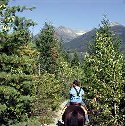 Horse back riding