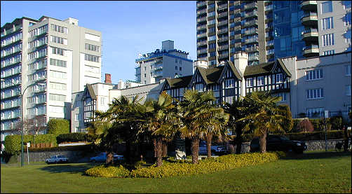 palm trees in Vancouver