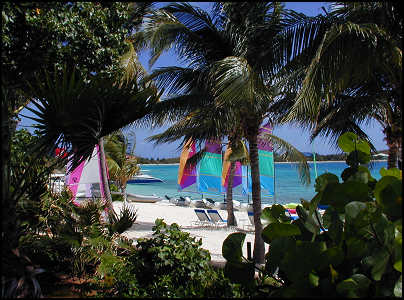 peak at the beach through tropical foliage